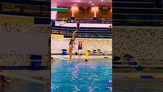 204C 1 meter diving - Ripfest free agent
