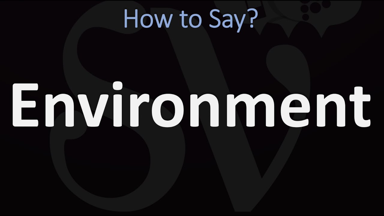 How To Pronounce Environment? (Correctly)