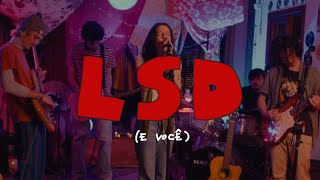 BFDC - LSD (e você) [TINY]