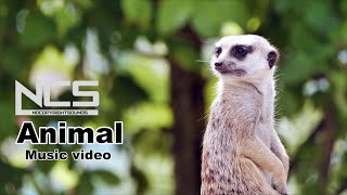 Debris & Rudelies - Animal Feat. Jex Ncs Release Music Video