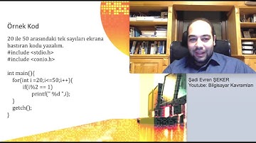 C Programlama 4, Döngüler (loops)