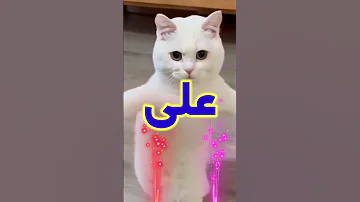 صباح الخير احلى اغنية لاسم على علي اغنية اسم على 