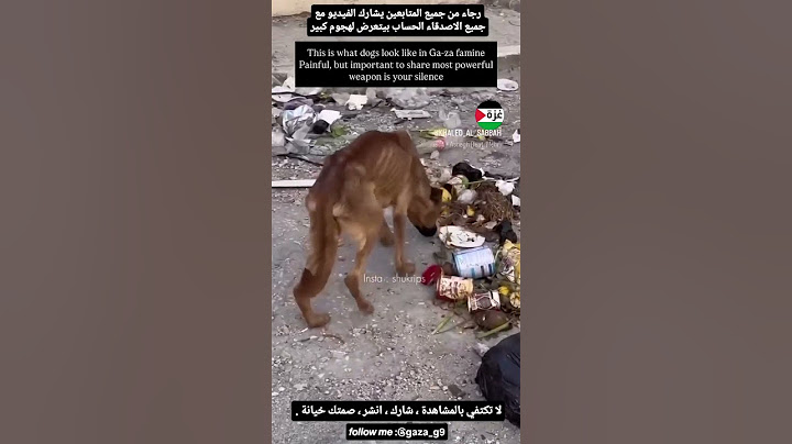 "إذا الكلب صار هيكل عظمي من الجوع.. البشر شو ظل فيهم؟!"#غزة_تموت_جوعا#غزة_تنزف#أنقذوا_غزة
