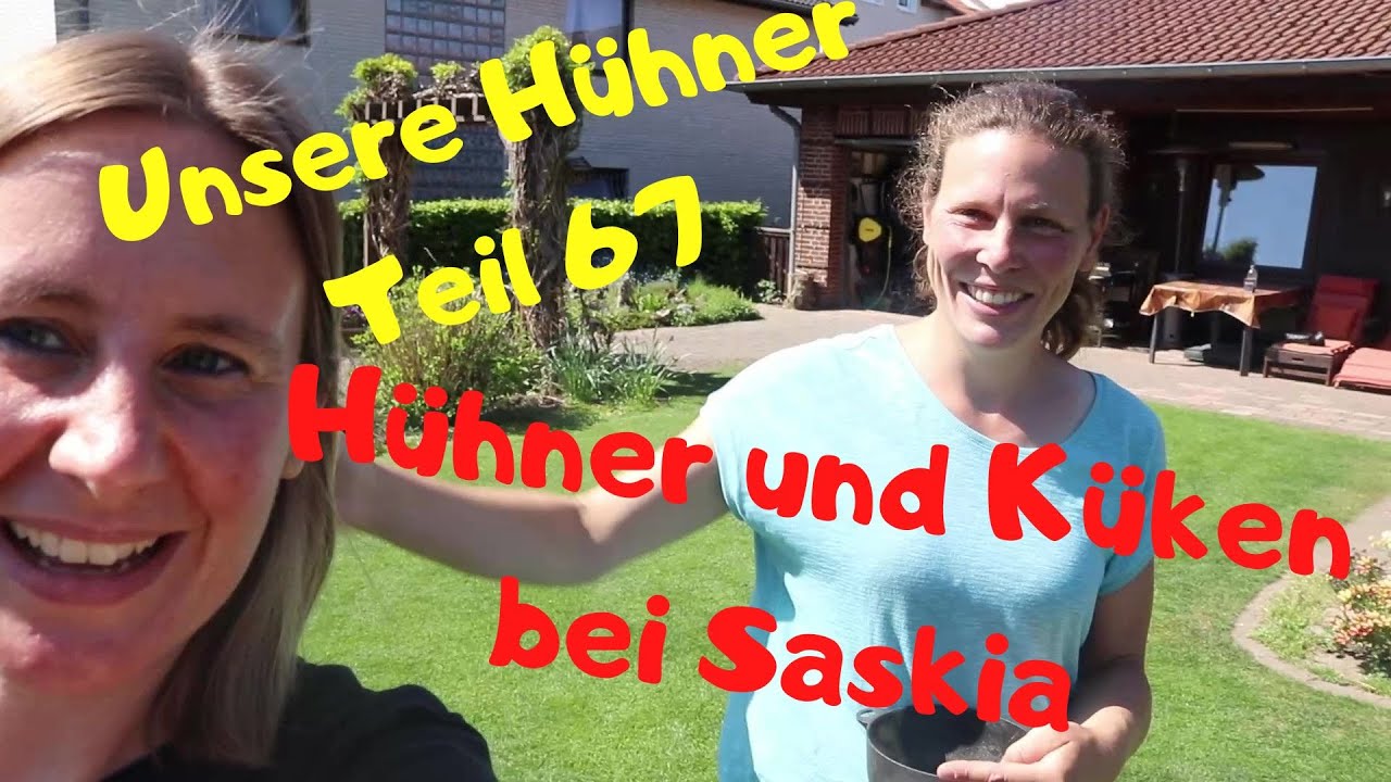 Teil 67: bei Saskia und ihren Hühnern und Küken in Braunschweig