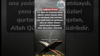 Qurandan qısa bir ayə Dini video Vatsap üçün status Dini status