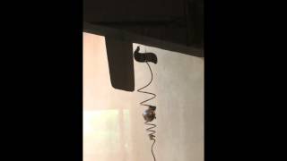 Hummingbird's first flight
