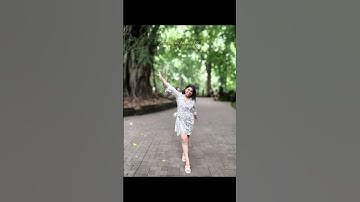 Bali monkey forest ubud/monkey forest