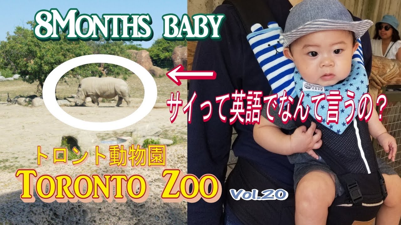 トロント動物園 サイって英語でなんて言うの Experience In Toronto Zoo Youtube