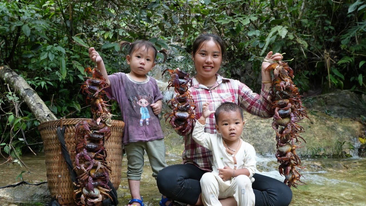 Go with your little daughter to catch giant crabs, cook colorful sticky rice to sell at the market