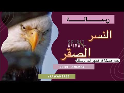 رسالة النسر لك 