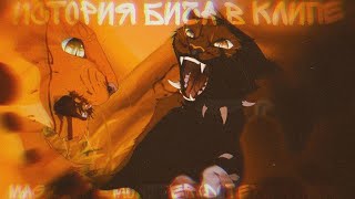 картинка: Коты воители - История Бича [В КЛИПЕ] (Mag & Dia - Monster(DotEXE Remix)