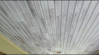 HOW TO: Clean A Painted Porch Ceiling by Outside Cleaners 1,914 views 1 month ago 4 minutes, 46 seconds