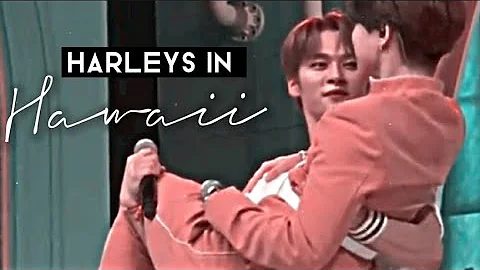 minsung - harleys in hawaii