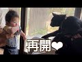【近況報告】猫に再開/成長/暮らし/移住2周年/妊活