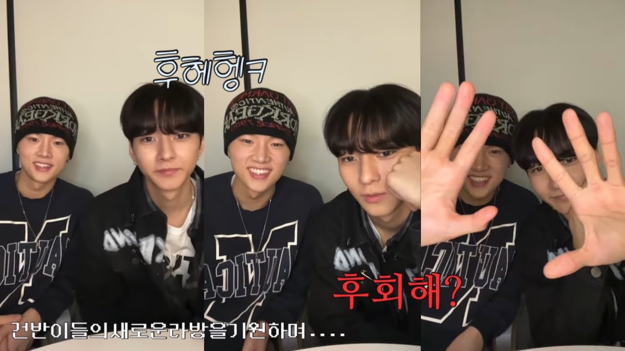 [엑디즈/건반쪽즈] 티라냥과 옫냥이의 만남이라...