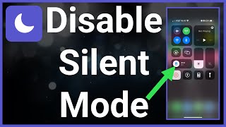 How To Remove Silent Mode On iPhone screenshot 3