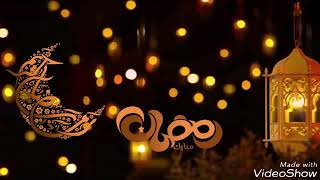 الفيديو الأول من سلسلة تختيم لعبة Bricks n Balls screenshot 3