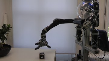 Collision Reaction with a Momentum based Observer