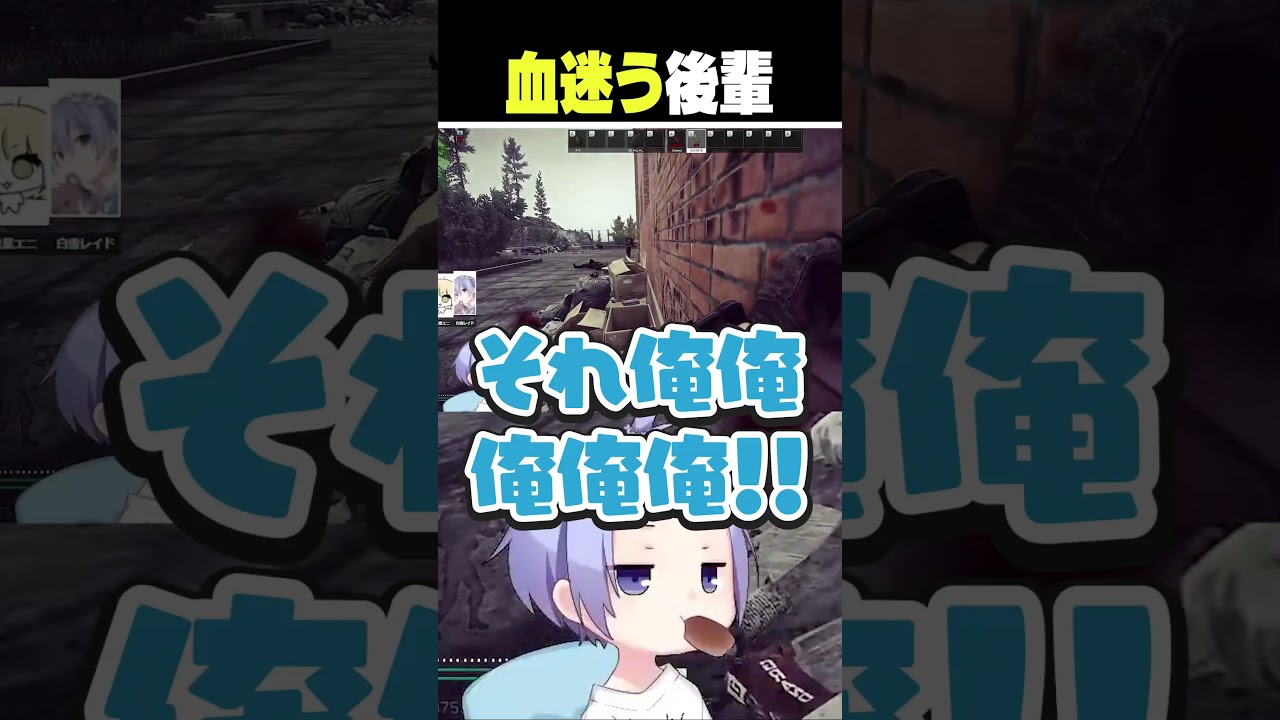 血迷う後輩【白雪レイド/切り抜き】#光葉エニ