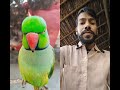 #funny #nonstoptalkingparrot #talkingparot #comedy chupke Se aana chupke Se Jana