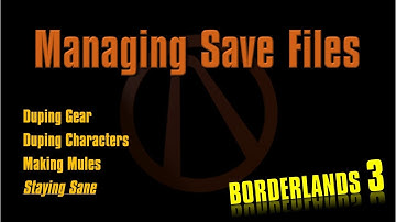 Managing BL3 PC Saves