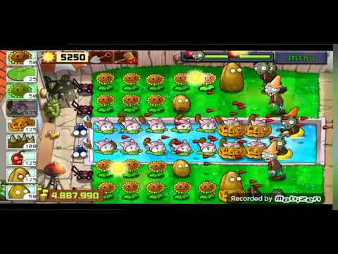 Plantas vs zombis - Complete un nivel solo utilizando rabos de gato 