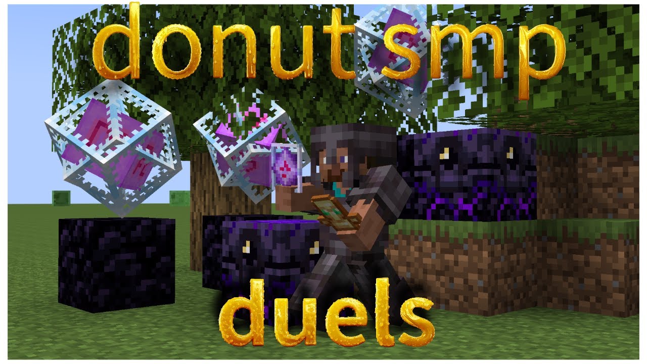1 hour of filling my stash on the donut smp