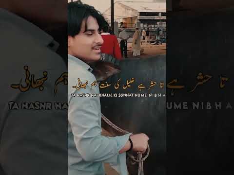 new 🐃💗#viral#baffalo #viraltoday#explore #bakramandi #bhainsmandi #bakraeid#today#viralnow #trending