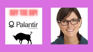 Palantir Stock (pltr stock) | Breaking News & Analysis | I BOUGHT THE DIP & HERE IS WHY!!!