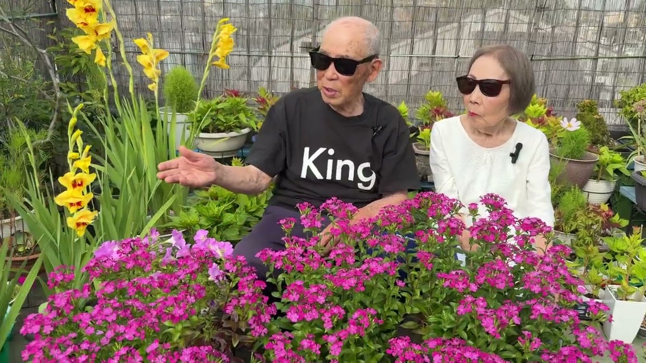 ハマナデシコ、グラジオラスの花 重吉87歳 夏子88歳 