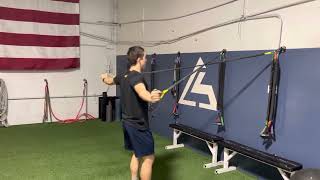 Crossover Symmetry Reverse Fly