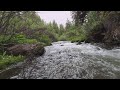 Nature Escape Rocky Mountain Stream VR180 VR 180 Virtual Reality Zen Colorado Rockies   18jun20 0345