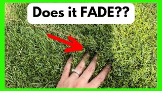 Realistic Thick Artificial Grass Turf - Review
