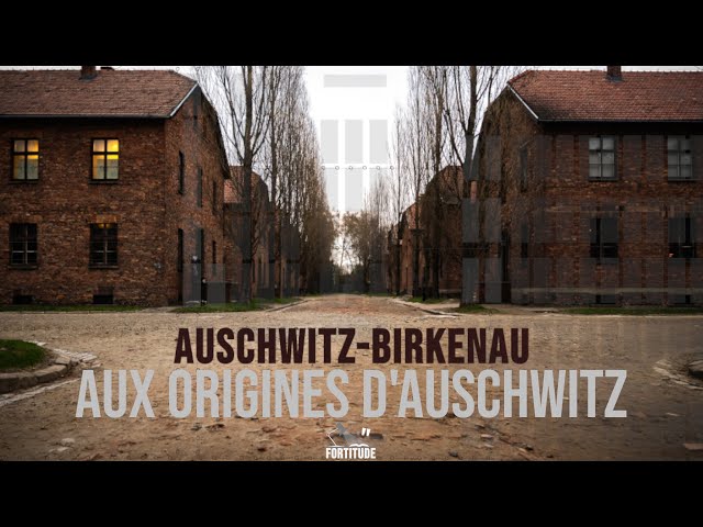 Web-Doc Auschwitz-Birkenau (1/3) : Aux origines d'Auschwitz