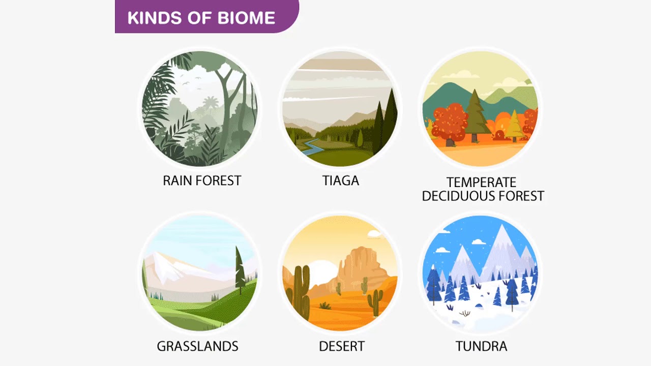 More world types. Иконка биом. Types of Biomes. Биомы England.