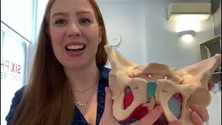 The Pelvic Floor - Its Function And Exercises To Keep It Active.