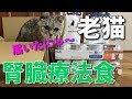 17歳老猫の腎臓療法食『スペシフィックFKD』試してみた　2019/6/8