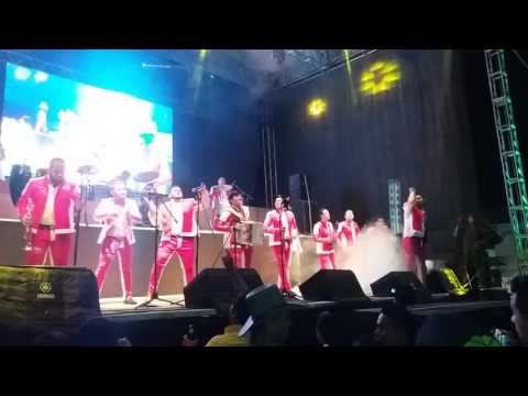 Los Ninis -