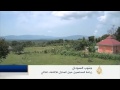زراعة المحاصيل حول المنازل للاكتفاء