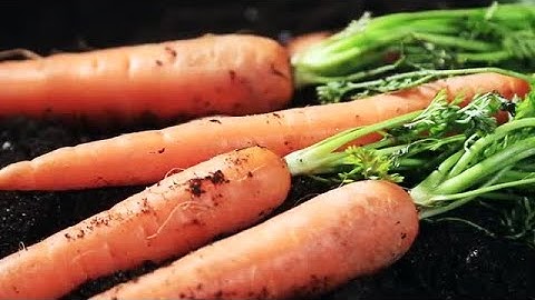 Carrots Stock Video
