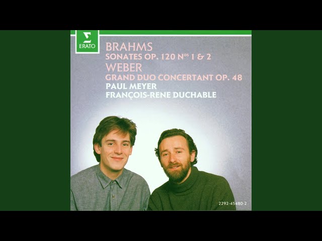 Brahms - Sonate pour clarinette et piano n°2 : 2è mvt : Paul Meyer / François-René Duchâble