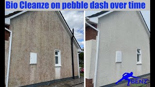 How to soft wash pebble dash (dry dash) wall render with Bio Cleanze screenshot 3