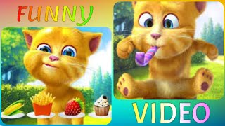 Talking Ginger funny #funny 🍇🍈🍉🍔 #talkingginger #gameplay #viral #cat videos #trending