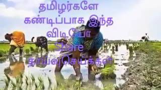 VID 20170206 WA0002