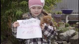 Котенок самый лучший в мире Котенок самый лучший в мире