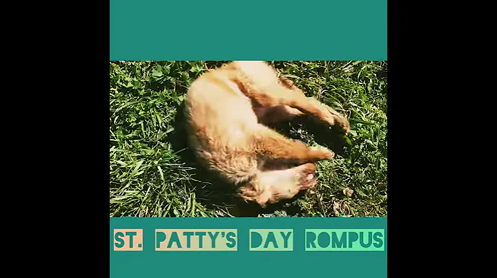 Saint Patrick's Day 2019