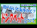 【ポーカー】初心者～中級者向け基本講座 知っておきたい常識ドンクベットについて【テキサスホールデム】