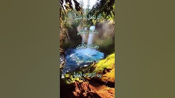 سورة البلد الجزء الثاني الم نجعل له عينين ولسانا وشفتين #بلغوا_عني_ولو_آية #عبد_الباسط_عبد_الصمد