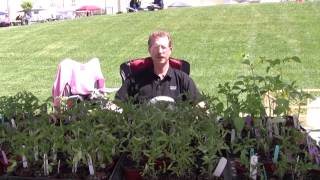 Apple Valley Farmers Market