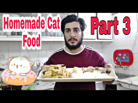 homemade-cat-food-|-persian-cat-food-recipe-|how-to-make-cheap-homemade-cat-food-at-home-|part-3